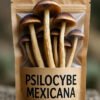 Trusted Source For Dried Psilocybe Mexicana Mushroom Online