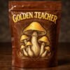 Golden Teacher Magic Mushroom