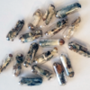 MUSHROOMS CAPSULES